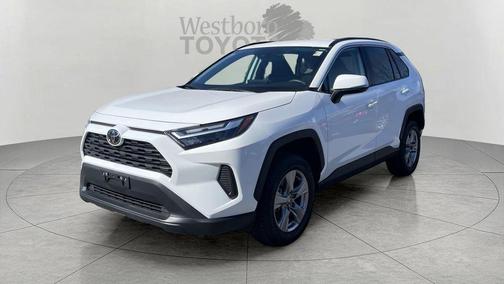 Ice 2025 Toyota RAV4 XLE