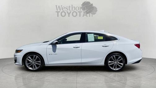 Summit White 2023 Chevrolet Malibu FWD 1LT