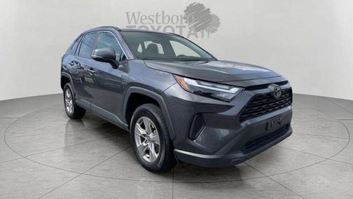 Magnetic Gray Metallic 2025 Toyota RAV4 XLE