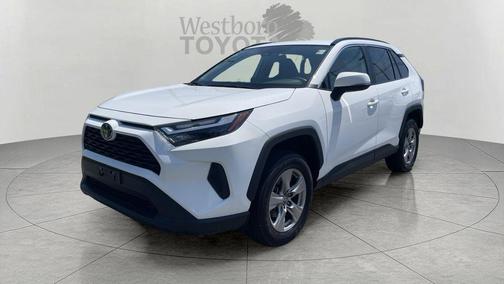 Ice 2025 Toyota RAV4 XLE