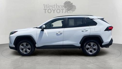 Ice 2025 Toyota RAV4 XLE