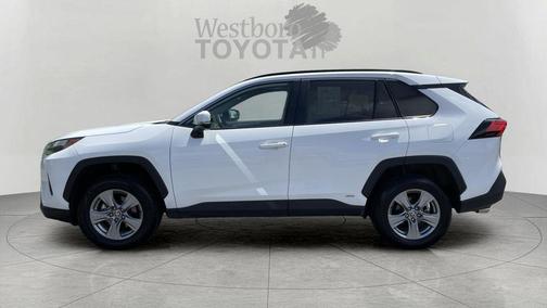Ice 2025 Toyota RAV4 Hybrid XLE