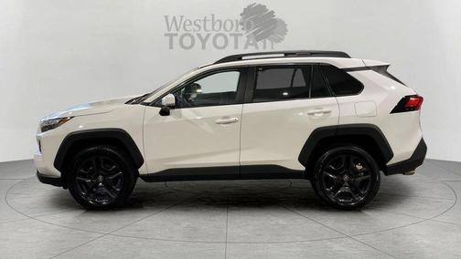 Ice 2024 Toyota RAV4 Adventure