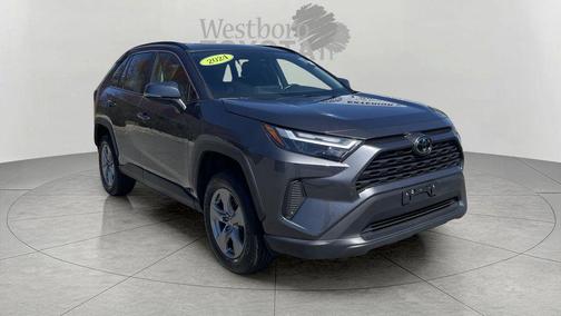 Silver Sky 2017 Toyota RAV4 Limited