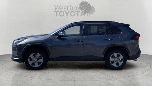 Magnetic Gray Metallic 2024 Toyota RAV4 XLE