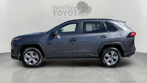 Magnetic Gray Metallic 2025 Toyota RAV4 XLE
