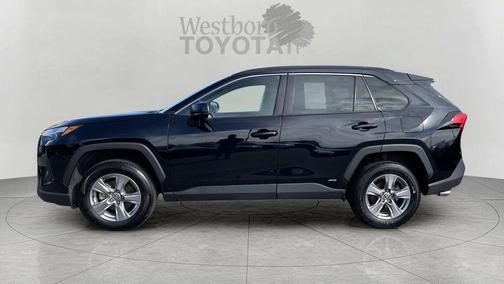 Midnight Black Metallic 2025 Toyota RAV4 Hybrid LE