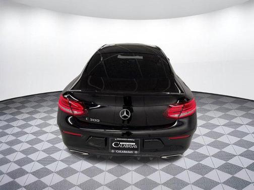 2019 Mercedes-Benz C-Class C 300