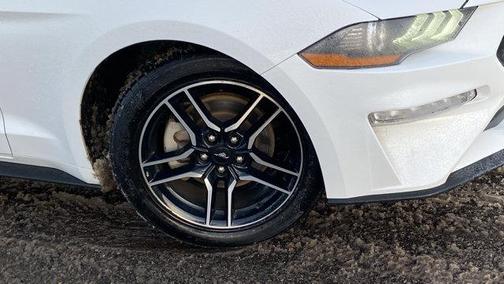 2023 Ford Mustang I4CV