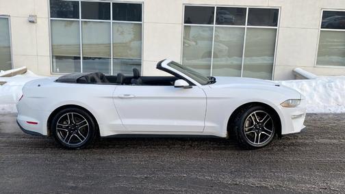 2023 Ford Mustang I4CV