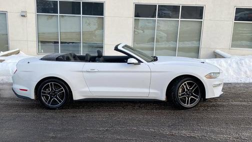 2023 Ford Mustang I4CV