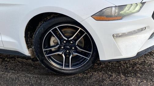 2023 Ford Mustang I4CV