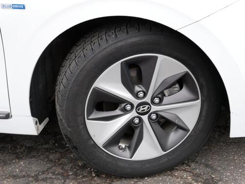 2018 Hyundai IONIQ EV Electric