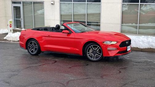 2023 Ford Mustang I4CV