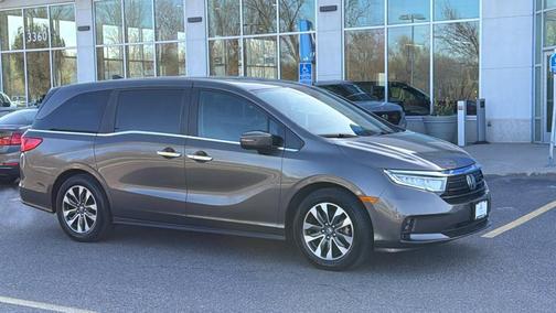 Pacific Pewter Metallic 2021 Honda Odyssey EX-L