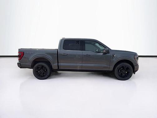Carbonized Gray Metallic 2023 Ford F-150 Platinum