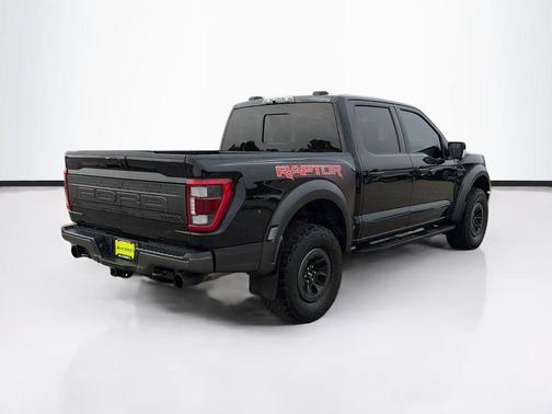Agate Black Metallic 2023 Ford F-150 Raptor