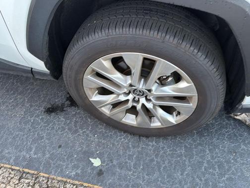 Wind Chill Pearl 2025 Toyota RAV4 XLE Premium