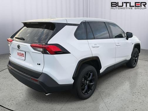 Ice Cap 2024 Toyota RAV4 LE