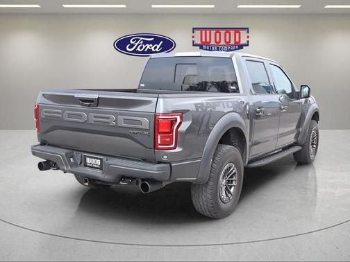 Magnetic Metallic 2019 Ford F-150 Raptor