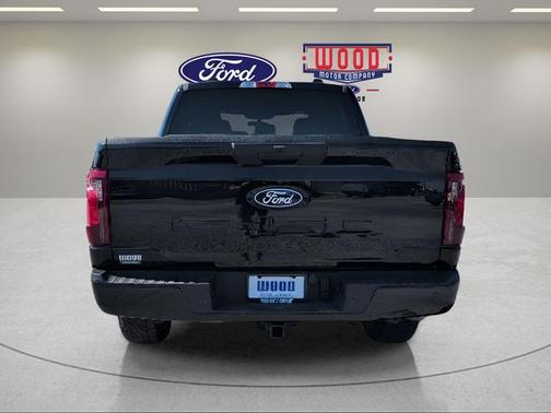 Agate Black Metallic 2025 Ford F-150 STX