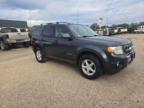2010 Ford Escape Hybrid Limited