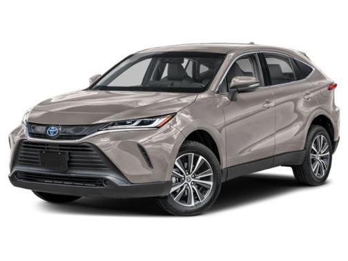 Titanium Glow 2024 Toyota Venza LE