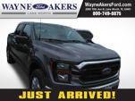 Gray Metallic 2023 Ford F-150 XLT
