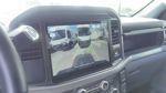 Gray 2025 Ford F-150 XLT