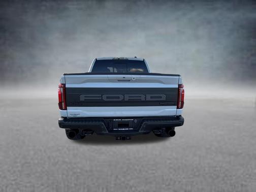 Avalanche 2024 Ford F-150 Raptor