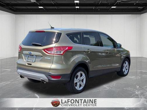Ginger Ale Metallic 2014 Ford Escape SE