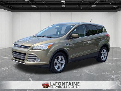 Ginger Ale Metallic 2014 Ford Escape SE