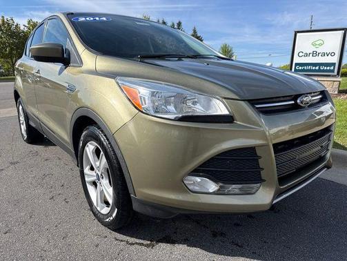 Ginger Ale Metallic 2014 Ford Escape SE