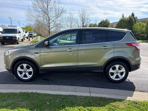 Ginger Ale Metallic 2014 Ford Escape SE