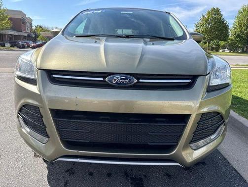 Ginger Ale Metallic 2014 Ford Escape SE