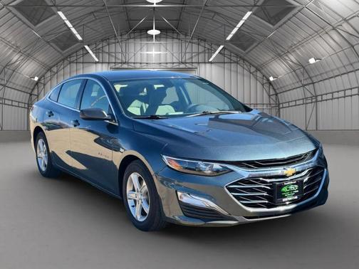 2019 Chevrolet Malibu 1LS