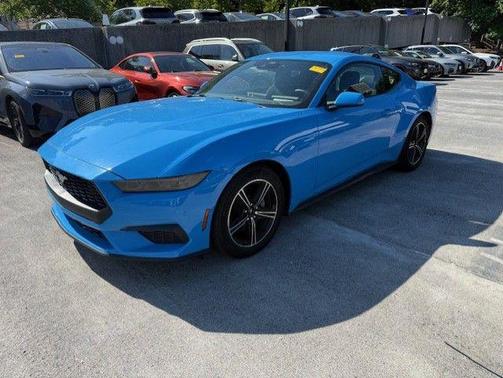 GRABBER BLUE METALLIC 2025 Ford Mustang EcoBoost