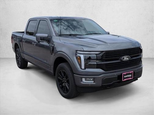 Carbonized Gray Metallic 2025 Ford F-150 Platinum