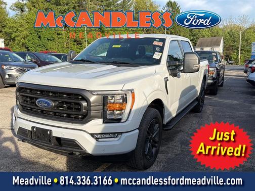 Avalanche Gray 2023 Ford F-150 XLT