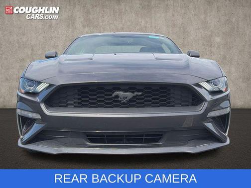 Magnetic 2018 Ford Mustang EcoBoost