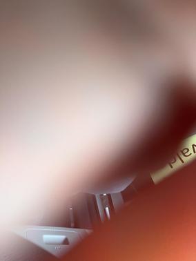 2022 Kia Carnival LX