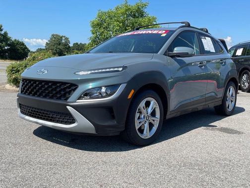 Cactus Fern 2022 Hyundai KONA SEL