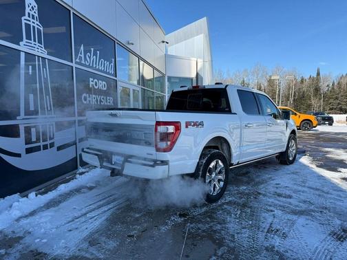 2021 Ford F-150 Platinum