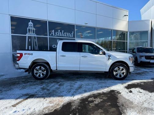 2021 Ford F-150 Platinum