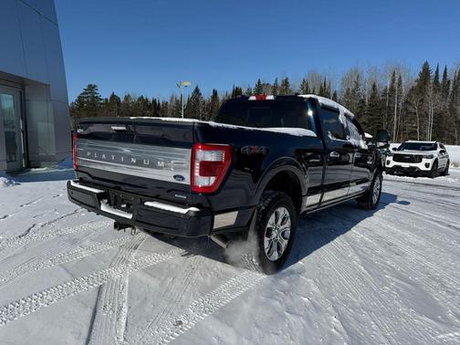 2022 Ford F-150 Platinum
