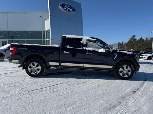 2022 Ford F-150 Platinum