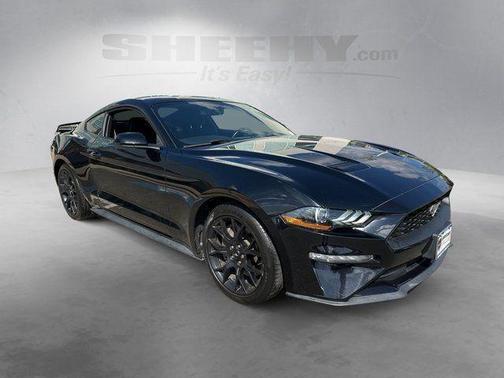 Shadow Black 2019 Ford Mustang EcoBoost