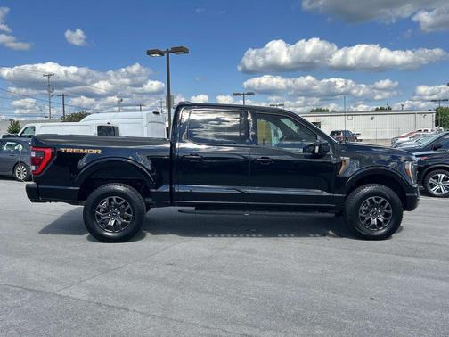 Agate Black Metallic 2023 Ford F-150 Tremor