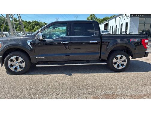Agate Black Metallic 2021 Ford F-150 Platinum