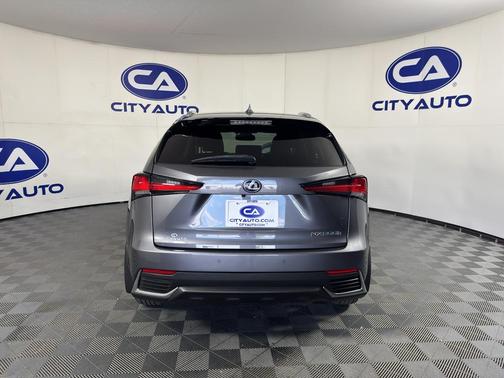 Nebula Gray Pearl 2020 Lexus NX 300h Base